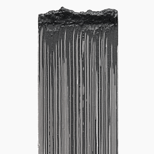 010 Electric Black