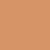 040 Tan swatch