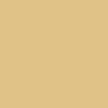 C01 Goldplay swatch