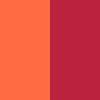 C01 Summer of 25 swatch
